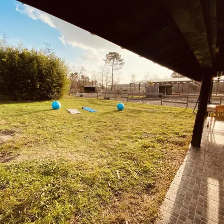 Gite Au Milieu Des Chevaux Feriehus